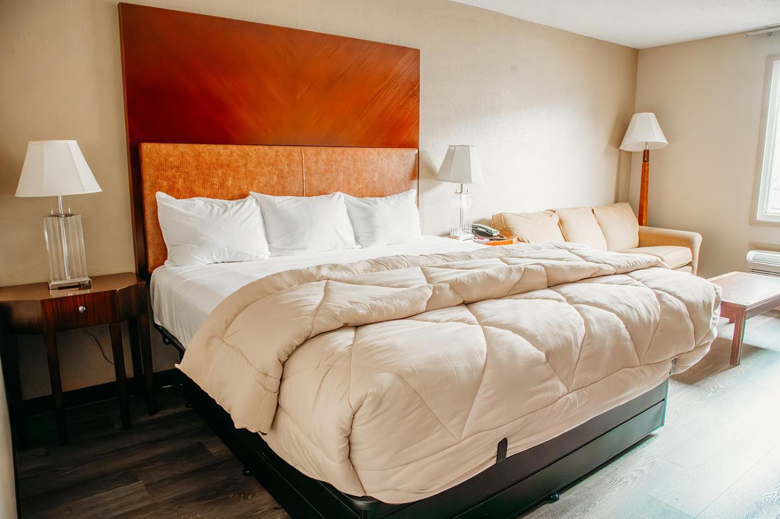 1 King Bed, Non-Smoking